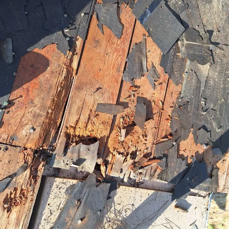 5 Early Signs of Roof Problems You Can Detect Yourself